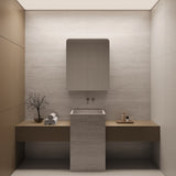 Rectangle Mirror Frameless Shaving Cabinet | 900 x 750