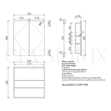 Rectangle Mirror Frameless Shaving Cabinet | 900 x 750