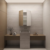 Rectangle Mirror Frameless Shaving Cabinet | 900 x 750