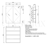 Rectangle Mirror Frameless Shaving Cabinet | 1100 x 900