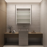 Rectangle Mirror Frameless Shaving Cabinet | 1100 x 900