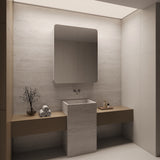 Rectangle Mirror Frameless Shaving Cabinet | 1100 x 900