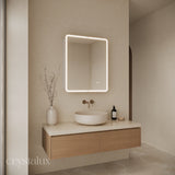 Rectangle Frameless LED Mirror Cabinet | 900 x 750